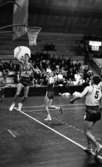 Basket, 12 april 1965

Basket, bollsport, Alvik