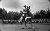 I3 fyller 300 år, 28 augusti 1967

Grenadjärvallen