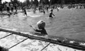 Grybe golf, Gustavsvik 17 juni 1967

Ett antal barn och vuxna badar i utomhusbadet på Gustavsvik. Många av flickorna och kvinnorna har baddräkter på sig och pojkarna är klädda i badbyxor. I förgrunden står en liten pojke nära bassängkanten i vattnet. Han lyfter sin vänstra arm.