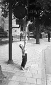 Barnen i trafiken 12 juli 1965
Trafiksäkerhet, pojke försöker nå tryckknappen på trafikljus