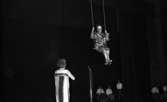 Göthman, Handikappfest, 18 maj 1967

En person i silverdräkt och med en hjälm med antenner på sitter på en gunga som hänger i taket under en revyföreställning på teatern. En kvinna med en kort, randig och ärmlös klänning står med ryggen mot kameran och tittar på. Hon står invid en mikrofon. Sex personer sitter på stolar i bakgrunden.