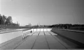 Fellingsbro bassäng 27 oktober 1966