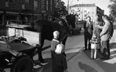 Bråk på Storgatan. 5 oktober 1967.
Rubrik till artikeln: 