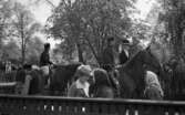 Wadköping 2 TV-inspelning, 31 maj 1968

Under TV-inspelningen av Markurells i Wadköping rider en grupp skådespelare genom Wadköping på hästar. Två män som är skådespelare i 1800-talskläder rider efter varandra. En kvinna i svart 1800-talsriddräkt med vit slöja kring den svarta hatten rider med männen. I förgrunden släpar en man klädd i 1800-talsarbetskläder en tung reskista. En skådespelargrupp bestående av kvinnor klädda i klänningar i hucklen samt en med hatt och klänning står även i förgrunden. En man skymtar delvis fram bland dem. Åskådare syns i bakgrunden.