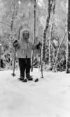 Ånnaboda 12 februari 1968

Närbild på ett litet barn som är klädd i vit jacka med luva, vit halsduk, svarta byxor och svartvita vantar. Barnet har skidor på fötterna och stavar i händerna. Det ligger snö på marken.