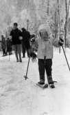 Ånnaboda 12 februari 1968

Närbild på ett litet barn som är klädd i vit jacka med luva, vit halsduk, svarta byxor och svartvita vantar. Barnet har skidor på fötterna och stavar i händerna. Det ligger snö på marken.