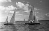 Hjälmarträffen 1967 (forts) 24 juli 1967

Segelbåtstävling där man kan se en ensam man i ena
båten, och två män i den andra båten. En bär flytväst.