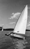 Hjälmarträffen 1967 (forts) 24 juli 1967

Bakåtlutad man styr segelbåt och framför ser man en 
segeljolle med en man.