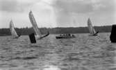 Hjämarträffen 1967 24 juli 1967

Tre män tävlar med segeljolle, och folk i två motorbåtar ser på. Kappseglingsbojar tillhörande tävlingen. I bakgrunden syns en herrgård.