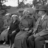 Pensionärer i Folkparken.
13 augusti 1955