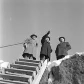 Reportage från skyddsrummet.
26 februari 1955