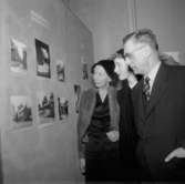 ÖK:s utställning på Konsthallen.
9 januari 1955
