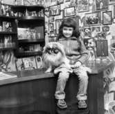 B. Sckraiberg.31 mars 1955