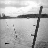 Översvämningar i Ervalla.
21 maj 1955