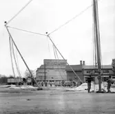 Cirkus i stan.
Bildsidan.
21 maj 1955