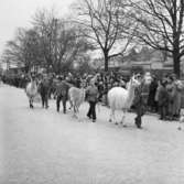 Cirkus i stan.
Bildsidan.
21 maj 1955