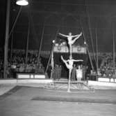 Cirkus i stan.
Bildsidan.
21 maj 1955