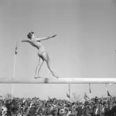 Sofiaflickorna på Expon.
31 maj 1955