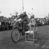 ÖK:s mopedpropaganda.
6 juni 1955.