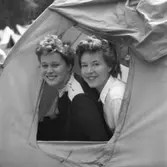 SGU-mästerskap i friidrott.
4 juli 1955.