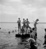Reportage från barnkolonien.
11 juli 1955.