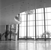 Karlskoga, bildsidan.17 juli 1955.