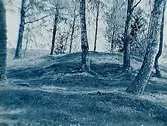 Björkhagen, högen före undersökningen.