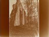 Riseberga klosterruin, kyrkan.Bilden tagen från nordväst.