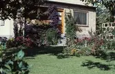 Villaträdgård