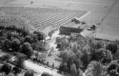 Flygfoto över Mosjö Gård, Mosås, bostadshus och ekonomibyggnader.
Bilden tagen för vykort.