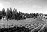 Motiv från Gisselnäs (II), Åtorp, bostadshus och ekonomibyggnader.
Bilden tagen för vykort.
Förlag: Lundells Kiosk.