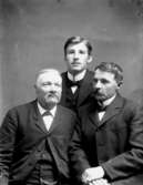 Tre män, tre generationer: Aron Hallberg, född 1829-09-29 vid Högsjö bruk i Västra Vingåker. Gustaf Ferdinand Hallberg, född 1860-03-13 vid Hallaberg i Regna. Aron Hallberg, född 1887-11-12 i Ohio, USA.