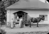 Bostadshus, häst och vagn, fem personer.