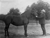 En man med en häst.