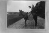 En kvinna med häst.
Wilhelmina Betzholt, född 1873-09-05 i Bo. Emigrerade till Amerika 1889. Besökte Sverige någon gång i början av 1900-talet.