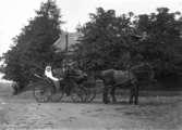 Bröllop, brudpar och fyra personer i en vagn dragen av två hästar.