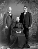 Gruppbild tre personer.
Kristina Charlotta Persson, f. Josefsdotter, född 1843-03-09 vid Stora Arntorp i Härlunda, död 1922-09-14 vid Axelborg i Stenstorp.
Sonen Nils Oskar Stenholm, född 1880-04-24 vid Krackgården i Stenstorp.
Sonen Karl Johan Arvid Stenholm, född 1878-01-09 vid Krackgården i Stenstorp, död 1931-04-05 i Svennevad. Han var garvare i Svennevad.