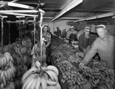 Banan Kompaniet, interiör, packning.