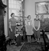 Rumsinteriör, familjegrupp fyra personer vid julgranen.Elof Larsson