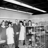 Konsum Domus, affärsinteriör, sex expediter.