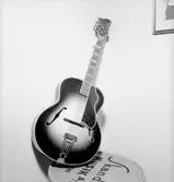 Musikinstrument: gitarr.
Skandia