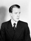 En ung man, bröstbild.H. Molin