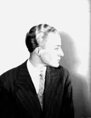 En ung man, bröstbild.
Stickan Tollin