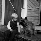 En pojke med en hund på trappan till huset.