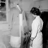 Bergeå Kemiska, kemtvätt, interiör, en kvinna.