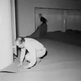 Konsum Domus, affärsinteriör, inredningsarbete inför öppnandet, två män.