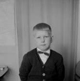 En pojke, bröstbild.LindmanBilden tagen för pass.