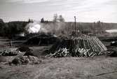 Milkolning, Svartå, 17 september 1953.