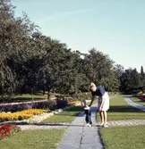 Stadsparken Örebro, 21 september 1964.