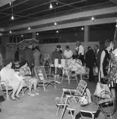 Sjögrens Järn, affärsinteriör, kunder och personal.